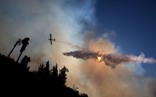 Пожар в окрестностях Иерусалима - результат поджога