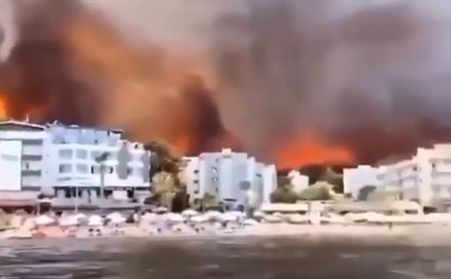 В Греции продолжают полыхать лесные пожары