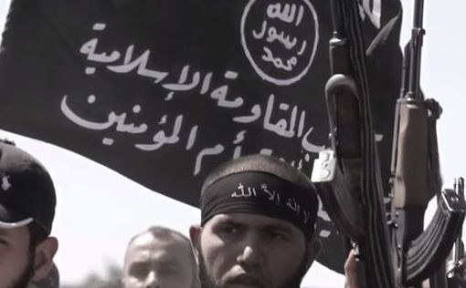 В США в очередной раз арестовали сторонника ISIS