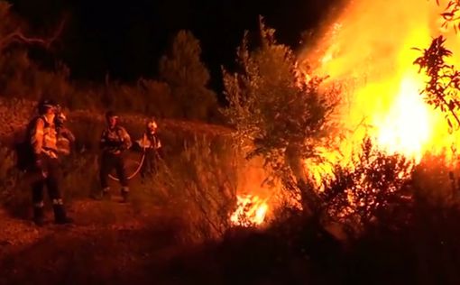 В Каталонии борются с самым мощным за 20 лет лесным пожаром