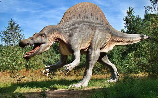 Ученые обнаружили вены динозавра, жившего 80 миллионов лет назад