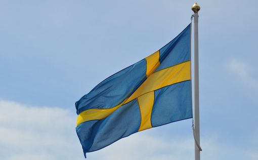 Процесс вступления Швеции в НАТО приостановлен - МИД