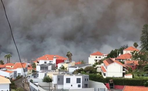 РФ поможет Португалии тушить пожары на Мадейре