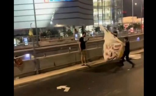 Десятки правых активистов сорвали плакаты после демонстрации на Каплан