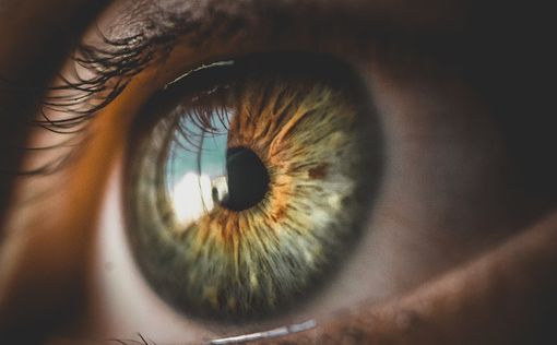 Искусственный интеллект научили определять болезнь Альцгеймера по глазам