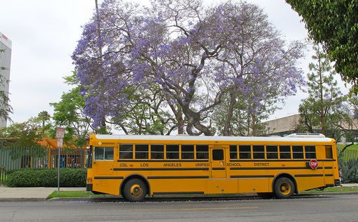 Школы Лос-Анджелеса закрыты после реальной угрозы теракта