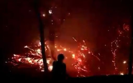 Огненный ад в Греции: местные жители спасаются бегством из своих домов