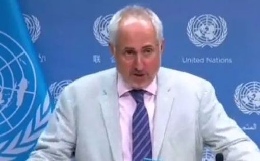 ООН не может проверить использовалось ли оружие КНДР в Украине