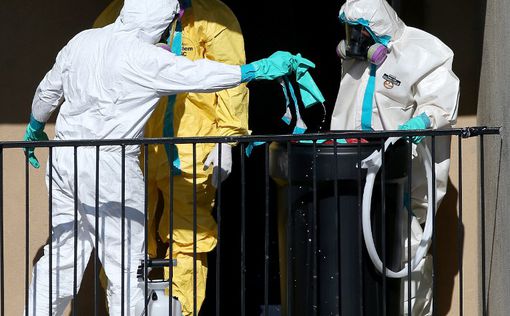 Эбола может поразить Францию и Великобританию