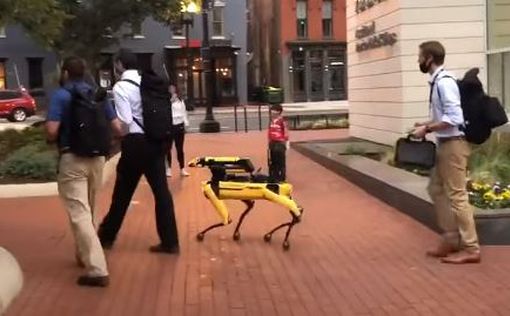 Робопсы Boston Dynamics встретились с настоящей собакой. Видео реакции