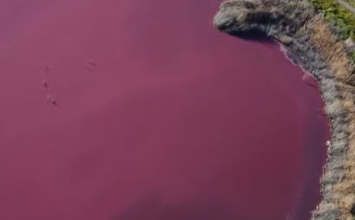 Экологи бьют тревогу: озера в Аргентине стали розовыми