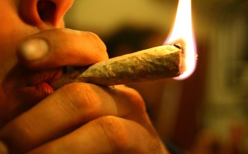 Ученые рассказали, сколько марихуаны не вредит здоровью