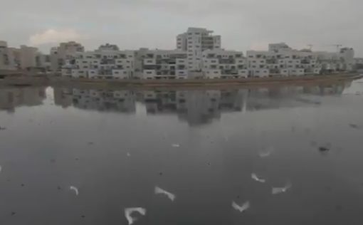 Видео: из-за дождей в Ашкелоне образовалось "озеро"