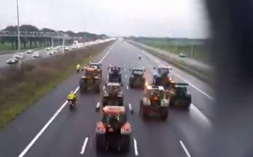 Фермеры в Нидерландах взбунтовались и потребовали уважения