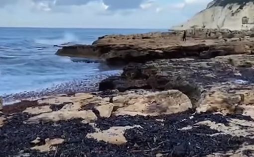 У побережья Нетании обнаружено нефтяное пятно
