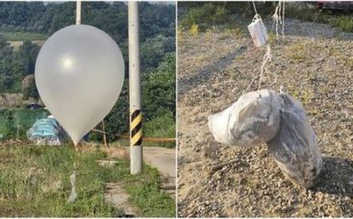 150 воздушных шаров с мусором и навозом послала Северная Корея соседям