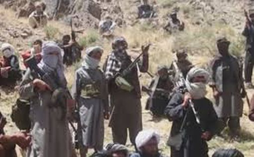 "Талибан" платит афганцам за работу пшеницей