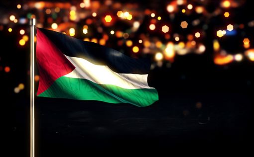 Депутат от РААМ продвигает в Лондоне признание “Палестины”