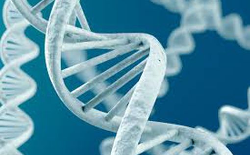 Ученые нашли гены ранее неизвестных предков человека