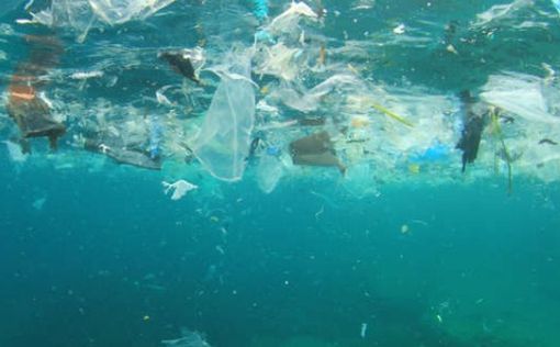 В океаны попало более 25 000 тонн мусора, связанного с COVID