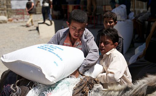 Попытки ООН продлить перемирие в Йемене провалились