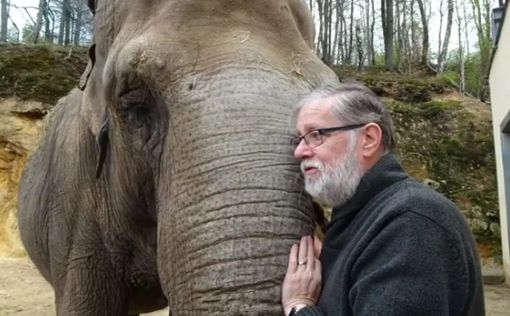 Слон и работник зоопарка встретились спустя 35 лет