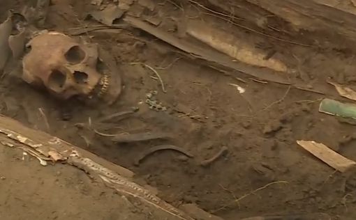 В Африке обнаружили древнейшее захоронение