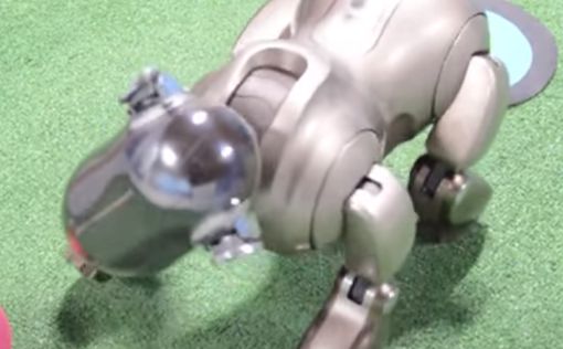 В Китае создали автономного робота-собаку