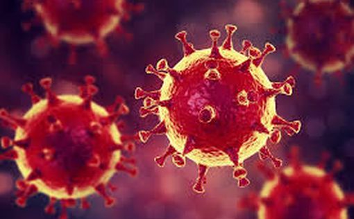 В Израиле выявлен новый штамм коронавируса
