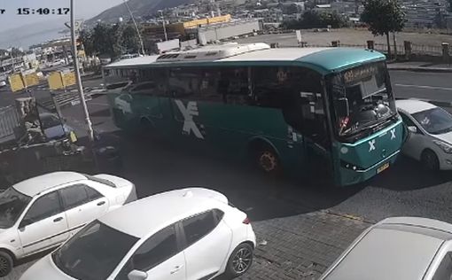 Тупой, еще тупее: как остановить автобус в Тверии