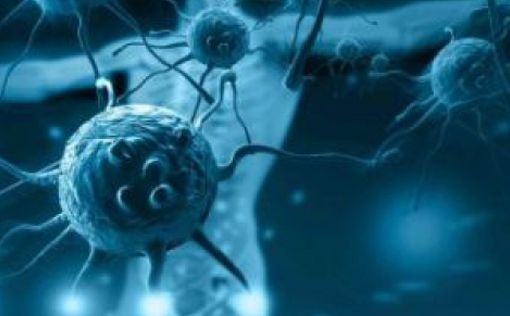 Американские ученые нашли вирус укрепляющий иммунитет