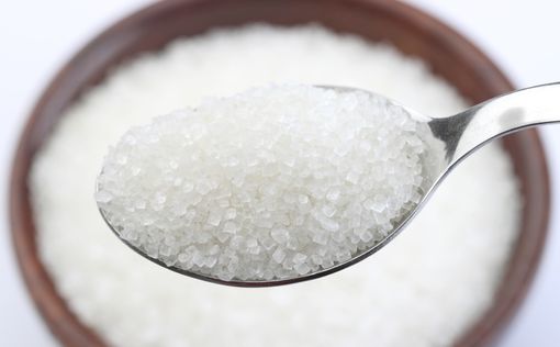 Учёные научились превращать сахар в морфий