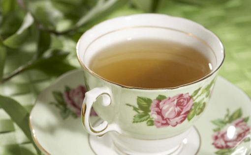 Экстракт зеленого чая поможет предотвратить рак