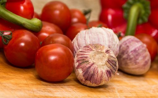 Израильские ученые вывели сорт засухоустойчивых помидоров