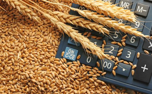 Словакия назвала условие отмены запрета на импорт украинского зерна