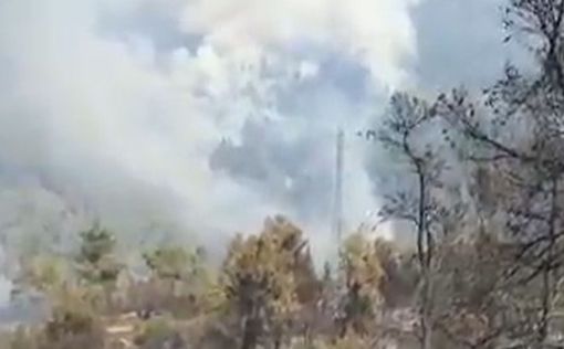 Вокруг Иерусалима выгорело 25 000 дунамов леса