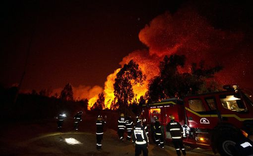 Чили: в пожаре уничтожено 2 тысячи домов