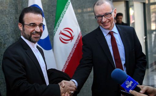 Иран и МАГАТЭ обсудили вопросы ядерной программы