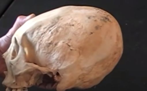Археологи обнаружили двухтысячелетний череп со следами трепанации