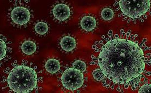 Ученые придумали, как обезвредить коронавирус