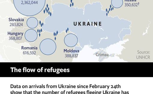 Обнародованы данные о прибытии с территории Украины беженцев