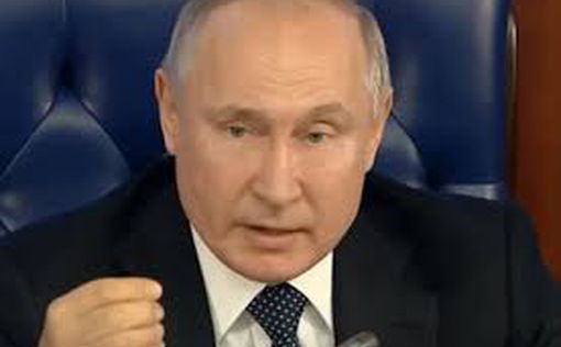 Путин о вырубке леса и запрете экспорта древесины с 2022-го