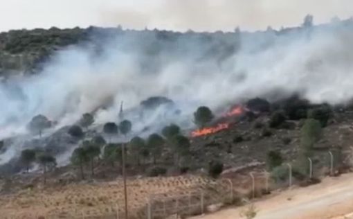 По всему Израилю вспыхивают пожары: издан новый указ