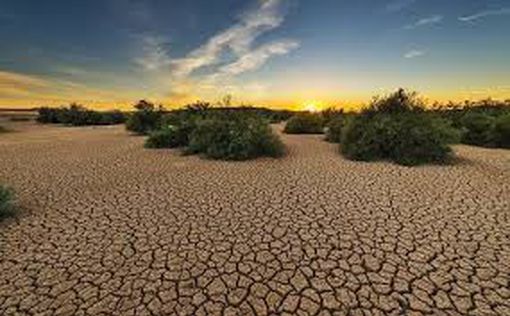 Европа на грани катастрофы: как засуха влияет на континент