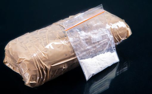 В США перехвачена контрабанда кокаина весом в 30 тонн