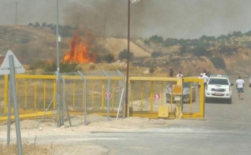 Волна экстремальной жары и пожары по всему Израилю