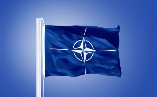 Саммит НАТО перенесли в связи с победой Трампа
