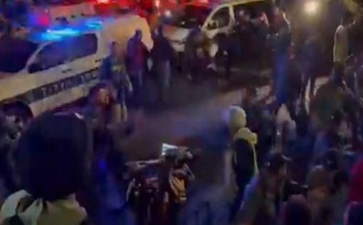Борцы за демократию прорвали кордоны и устроили драку с полицией на шоссе Аялон