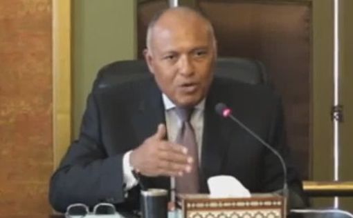 Министр иностранных дел Египта выступил в защиту Израиля