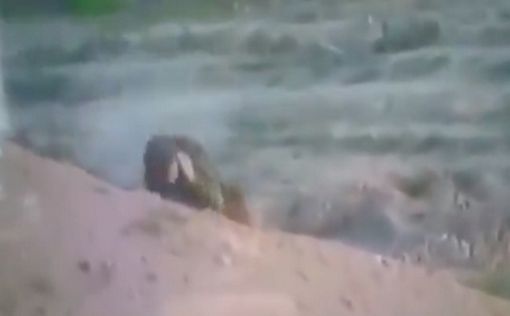 Видео: снайпер Исламского джихада попал в каску офицера